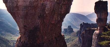 Les vases de S�vres dans les Gorges de la Jonte